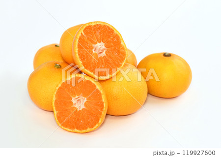 みかん(にしおかみかん) みかん(にしおかみかん) 119927600