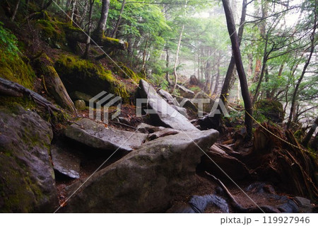 二荒山神社の境内地にある百名山「男体山」の登山道 二荒山神社の境内地にある百名山「男体山」の登山道 119927946