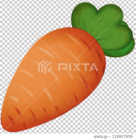 Carrots in Autumn 119927959