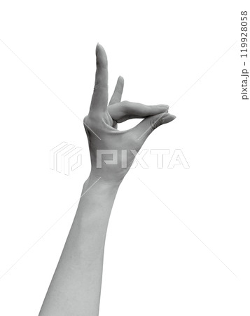 狐を表した女性の左手2(モノクロ) 119928058