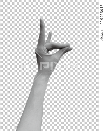 狐を表した女性の左手2(モノクロ) 119928058