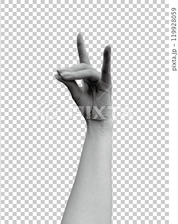 Woman's left hand depicting a fox 3 (monochrome) 119928059