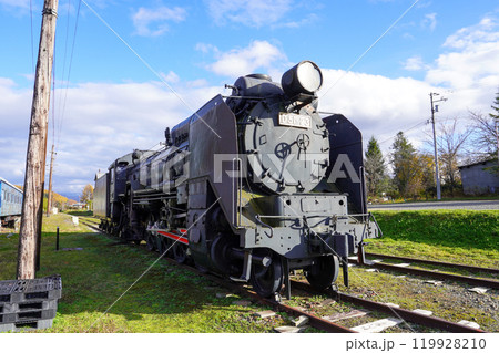 樺太帰りのD51（振内鉄道記念館） 119928210