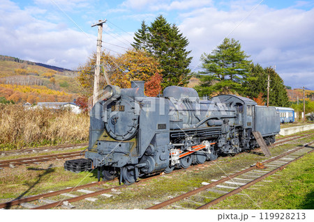 樺太帰りのD51(振内鉄道記念館) 樺太帰りのD51(振内鉄道記念館) 119928213