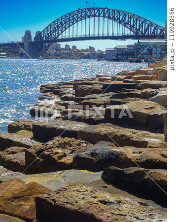 Sydney Harbour Bridge and Barangaroo Reserve 119928386