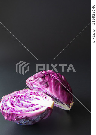 紫キャベツ 紫キャベツ 119928546