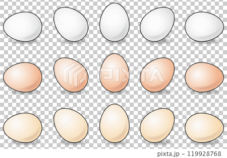 Vector illustration set of various eggs 119928768