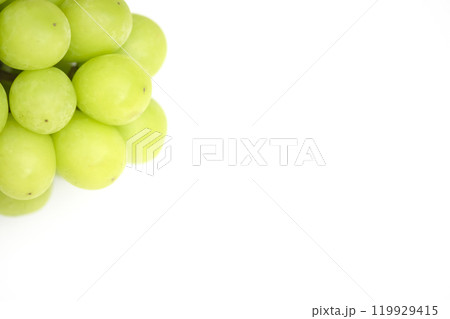 マスカットのイメージ　(写真素材) 119929415