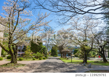 信州大学繊維学部　長野県上田市 119929781