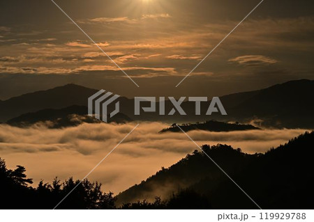 竹田城址の雲海 竹田城址の雲海 119929788