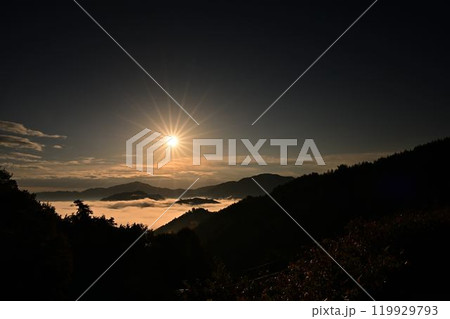 竹田城址の雲海 竹田城址の雲海 119929793