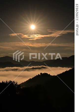 竹田城址の雲海 竹田城址の雲海 119929819
