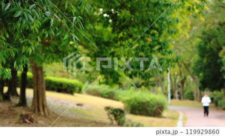 清々しい風が吹き抜ける自然公園でウォーキングを楽しむ人 清々しい風が吹き抜ける自然公園でウォーキングを楽しむ人 119929860