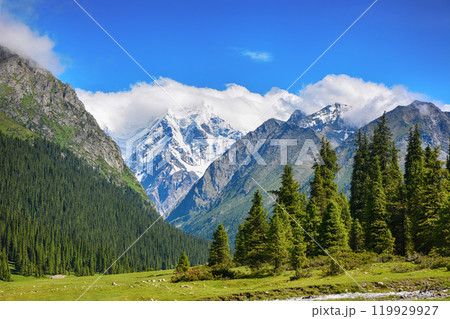 Idyllic summer landscape with hiking trail in the mountains with beautiful fresh green mountain pastures, top of mountains and clouds. Terskey Alatoo mountains, Tian-Shan, Jeti-Oguz, Kyrgyzstan 119929927