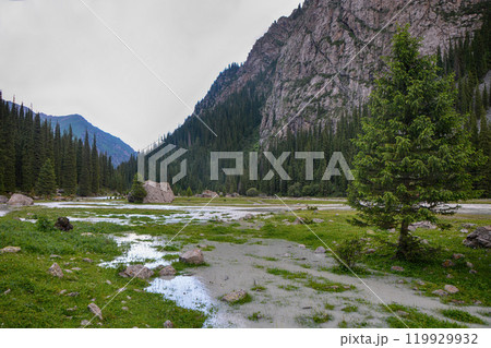 Idyllic summer landscape with hiking trail in the mountains with beautiful fresh green mountain pastures, river with reflection and forest. Terskey Alatoo mountains, Tian-Shan, Karakol, Kyrgyzstan 119929932