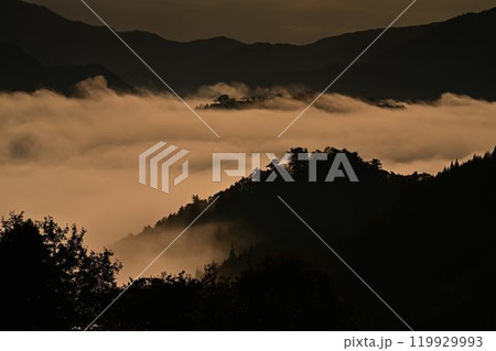 竹田城址の雲海 竹田城址の雲海 119929993