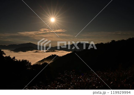 竹田城址の雲海 119929994