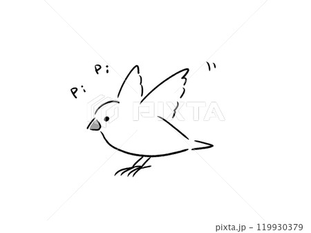 元気な白文鳥 mono 119930379