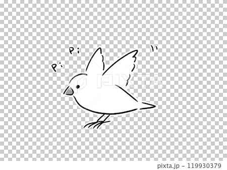 元気な白文鳥 mono 119930379