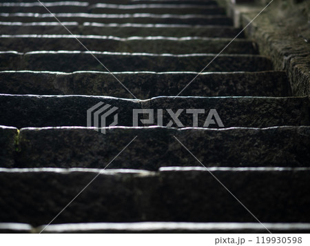 静寂に佇む石段 静寂に佇む石段 119930598