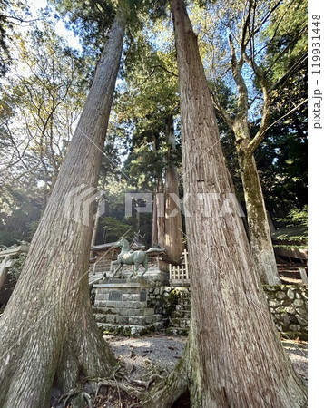 奈良の洞川八幡宮 奈良の洞川八幡宮 119931448