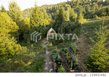 Greenhouse Nestled in a Forest Garden Greenhouse Nestled in a Forest Garden 119931482