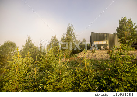 Peaceful Morning at a Modern Cabin 119931591