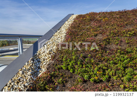 Extensive green ecological living sod roof with root zone waste water sewage treatment plant, sunny summer day 119932137