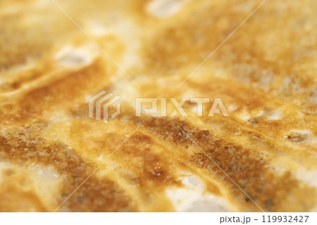 パリパリに焼けた羽根つき餃子のイメージ　(写真素材) 119932427