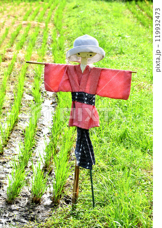 稲刈りの済んだ田んぼの道に咲く彼岸花と案山子 稲刈りの済んだ田んぼの道に咲く彼岸花と案山子 119932473
