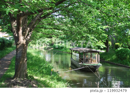 京都 京都 119932479