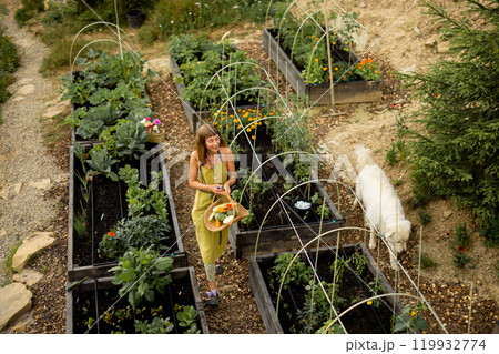 Eco-friendly garden in the mountains Eco-friendly garden in the mountains 119932774