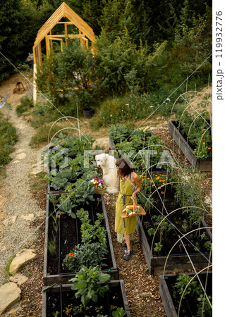 Eco-friendly garden in the mountains 119932776