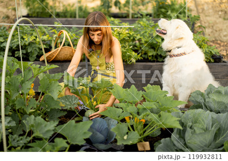 Woman with her dog in eco-friendly garden Woman with her dog in eco-friendly garden 119932811