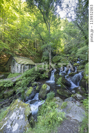 Water wheel mill (Moulin de Chambeuil) with waterfalls, Laveissiere, Cantal, Auvergne-Rhone-Alpes, France Water wheel mill (Moulin de Chambeuil) with waterfalls, Laveissiere, Cantal, Auvergne-Rhone-Alpes, France 119932863
