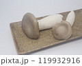 エリンギ 119932916