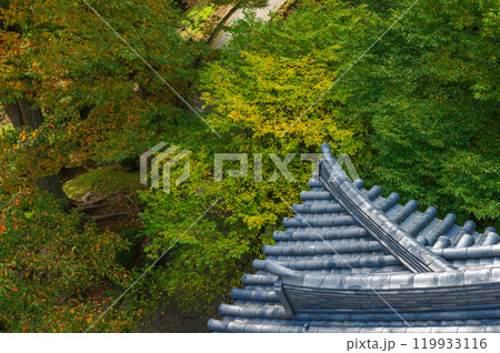城の屋根と紅葉 城の屋根と紅葉 119933116