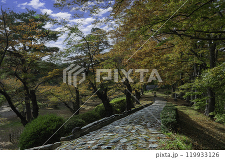 千秋公園の小径 千秋公園の小径 119933126