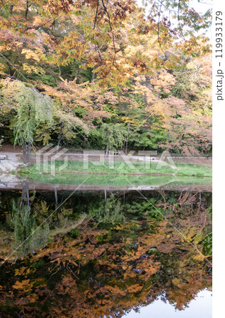 千秋公園のお堀のリフレクション 千秋公園のお堀のリフレクション 119933179