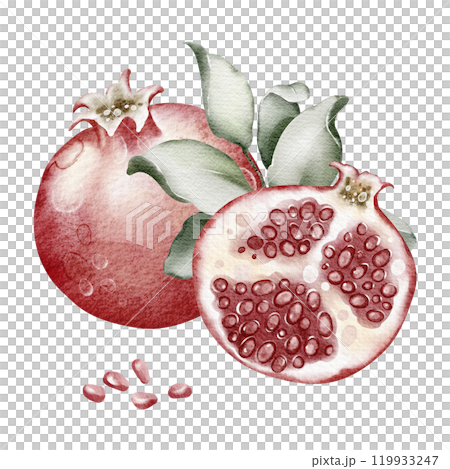 Watercolor illustration red pomegranate close-up on isolated background. Hand drawn fresh fruit garnet. Elements juicy food for icon or logo. 119933247