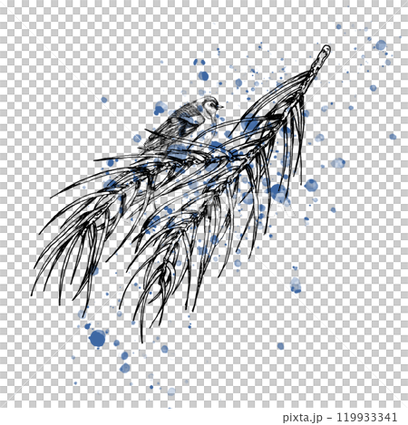 Hand drawn winter season illustration with hand drawn pine branch and bird sitting. Graphics clipart on watercolor splash. Silhouette of nature, wild life bird on tree for label, concept logo design Hand drawn winter season illustration with hand drawn pine branch and bird sitting. Graphics clipart on watercolor splash. Silhouette of nature, wild life bird on tree for label, concept logo design 119933341