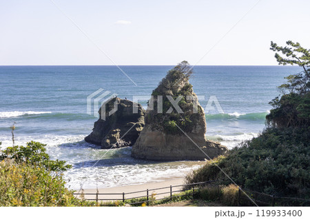 茨城県日立市 東滑川海浜緑地のグミ島 茨城県日立市 東滑川海浜緑地のグミ島 119933400