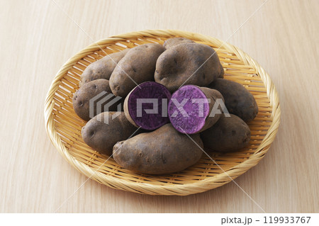 シャドウクイーン 119933767