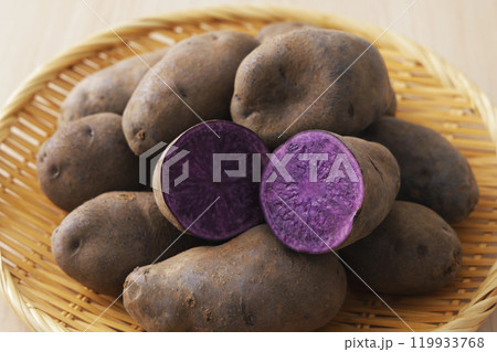 シャドウクイーン 119933768