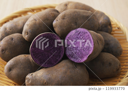 シャドウクイーン 119933770