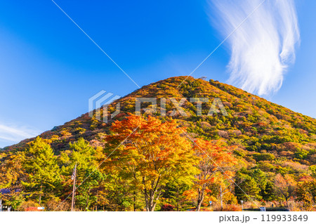 【群馬県】県立榛名公園から見る榛名山　秋 119933849
