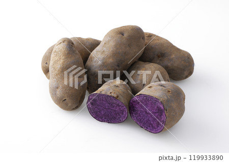 シャドークイーン 119933890