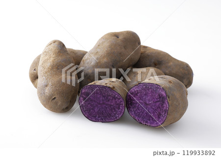 シャドークイーン 119933892