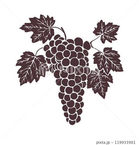 Bunch of grapes with leaves, silhouette. Hand drawn illustration on white background Bunch of grapes with leaves, silhouette. Hand drawn illustration on white background 119933981
