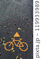 Bicycle symbol on pavement surrounded by autumn leaves, urban environment. 119933989